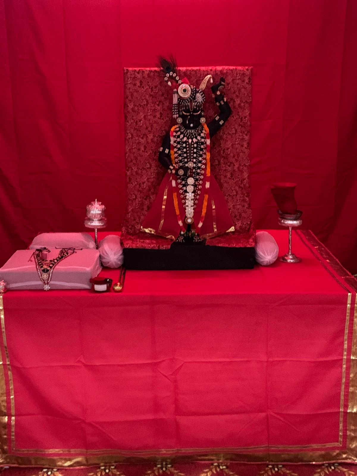 Shri Krishna Divine Darshan